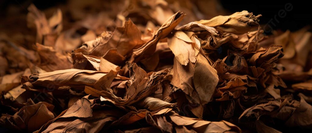 Крупный план темной текстуры табачного листа